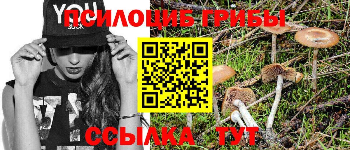 Галлюциногенные грибы MAGIC MUSHROOMS Калуга
